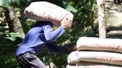 Salah satu sosok yang mencerminkan semangat tersebut adalah Santo, warga setempat yang setiap hari ikut bergotong royong mengangkut sak-sak semen menuju lokasi pengecoran. Dengan memikul beban puluhan kilogram di pundaknya