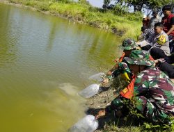 TMMD ke-129 Bojonegoro Perkuat Ketahanan Pangan Lewat Penebaran 11 Ribu Benih Ikan di Embung Kesongo