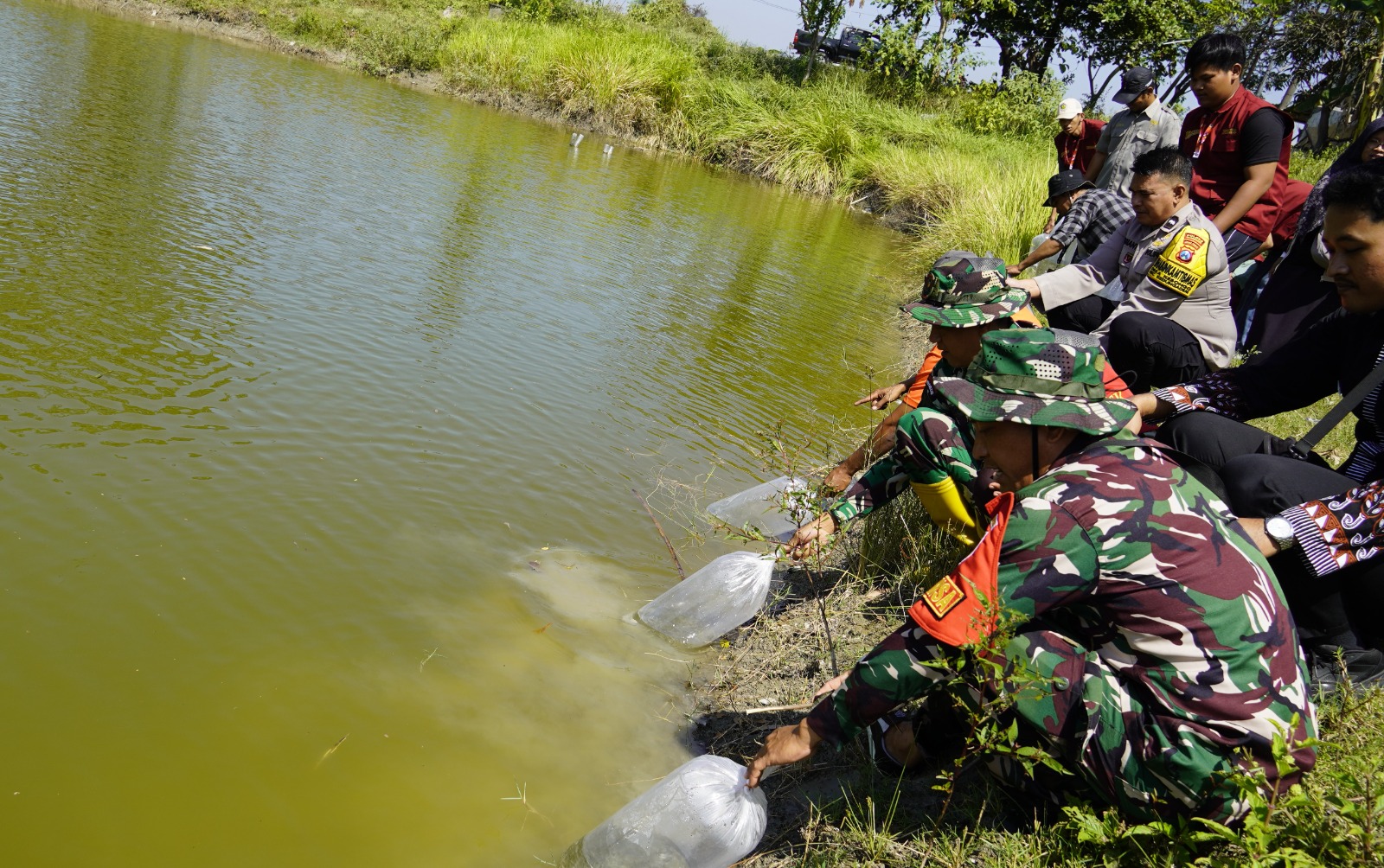 Satgas TMMD menggelar kegiatan penebaran 11 ribu benih ikan di embung desa sebagai langkah meningkatkan potensi perikanan sekaligus menjaga kelestarian ekosistem perairan, Kamis (16/7/2026).
