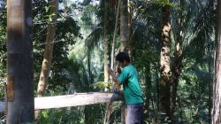 Di tengah aktivitas pembangunan, suara benturan besi terdengar berirama saat Margo mengukur, membengkokkan, dan merapikan setiap batang besi menjadi begel. Meski pekerjaannya jarang menjadi sorotan, hasil karyanya memiliki peran penting sebagai pengikat rangka beton agar bangunan yang dibangun memiliki kekuatan dan daya tahan yang optimal.