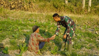 Di tengah kesibukan membangun jalan, drainase, dan rumah layak huni, sebuah momen sederhana di Desa Kesongo, Kecamatan Kedungadem, justru menjadi potret paling menyentuh dari pelaksanaan Program TNI Manunggal Membangun Desa (TMMD) ke-129 Kodim 0813/Bojonegoro.