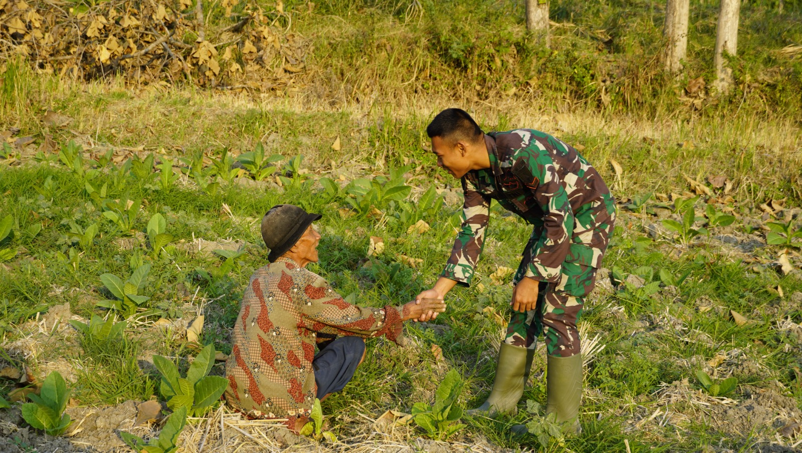 Di tengah kesibukan membangun jalan, drainase, dan rumah layak huni, sebuah momen sederhana di Desa Kesongo, Kecamatan Kedungadem, justru menjadi potret paling menyentuh dari pelaksanaan Program TNI Manunggal Membangun Desa (TMMD) ke-129 Kodim 0813/Bojonegoro.