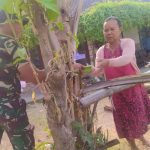 Suasana penuh kebersamaan mewarnai pelaksanaan Program TNI Manunggal Membangun Desa (TMMD) ke-129 Tahun Anggaran 2026 di Dusun Mundu, Desa Kesongo, Kecamatan Kedungadem, Kabupaten Bojonegoro, Minggu (2/8/2026).