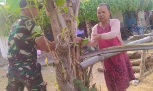 Suasana penuh kebersamaan mewarnai pelaksanaan Program TNI Manunggal Membangun Desa (TMMD) ke-129 Tahun Anggaran 2026 di Dusun Mundu, Desa Kesongo, Kecamatan Kedungadem, Kabupaten Bojonegoro, Minggu (2/8/2026).