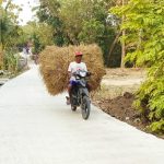 Warga Dusun Mundu melintas di jalan cor beton sepanjang 490 meter yang dibangun melalui program TMMD ke-129 Kodim 0813 Bojonegoro di Desa Kesongo, Kecamatan Kedungadem, Kabupaten Bojonegoro, Minggu (09/08/2026). Foto: Deni Aripandi/Sumber TMMD Bojonegoro.