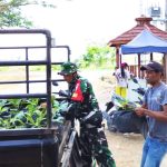 Babinsa Desa Kesongo, Serka Lasmidi, membantu menyalurkan 750 bibit sayuran dari DKPP Kabupaten Bojonegoro kepada warga dalam rangka penguatan ketahanan pangan melalui program TMMD ke-129 Kodim 0813/Bojonegoro, Desa Kesongo, Kecamatan Kedungadem, Kamis (6/8/2026). Foto: Deni Ari Pandi/Sumber TMMD Bojonegoro.