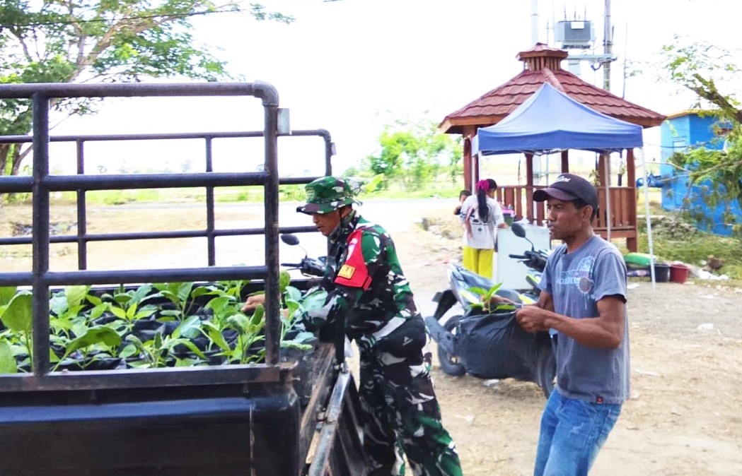 Babinsa Desa Kesongo, Serka Lasmidi, membantu menyalurkan 750 bibit sayuran dari DKPP Kabupaten Bojonegoro kepada warga dalam rangka penguatan ketahanan pangan melalui program TMMD ke-129 Kodim 0813/Bojonegoro, Desa Kesongo, Kecamatan Kedungadem, Kamis (6/8/2026). Foto: Deni Ari Pandi/Sumber TMMD Bojonegoro.