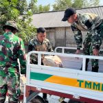 Anggota Satgas TMMD ke-129 Kodim 0813 Bojonegoro melangsir material untuk menyelesaikan pembangunan RTLH milik Kardo di Dusun Bekatul, Desa Kesongo, Kecamatan Kedungadem, Kabupaten Bojonegoro, Minggu (09/08/2026). Foto: Deni Aripandi/Sumber TMMD Bojonegoro.