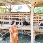 Jalin Komunikasi dengan Peternak: Babinsa Desa Kesongo, Serka Lasmidi, berbincang dengan warga peternak kambing di sela pelaksanaan TMMD ke-129 Kodim 0813 Bojonegoro di Desa Kesongo, Kecamatan Kedungadem, Kabupaten Bojonegoro, Kamis (6/8/2026). Komunikasi sosial tersebut menjadi bagian dari upaya mempererat hubungan TNI dengan masyarakat.