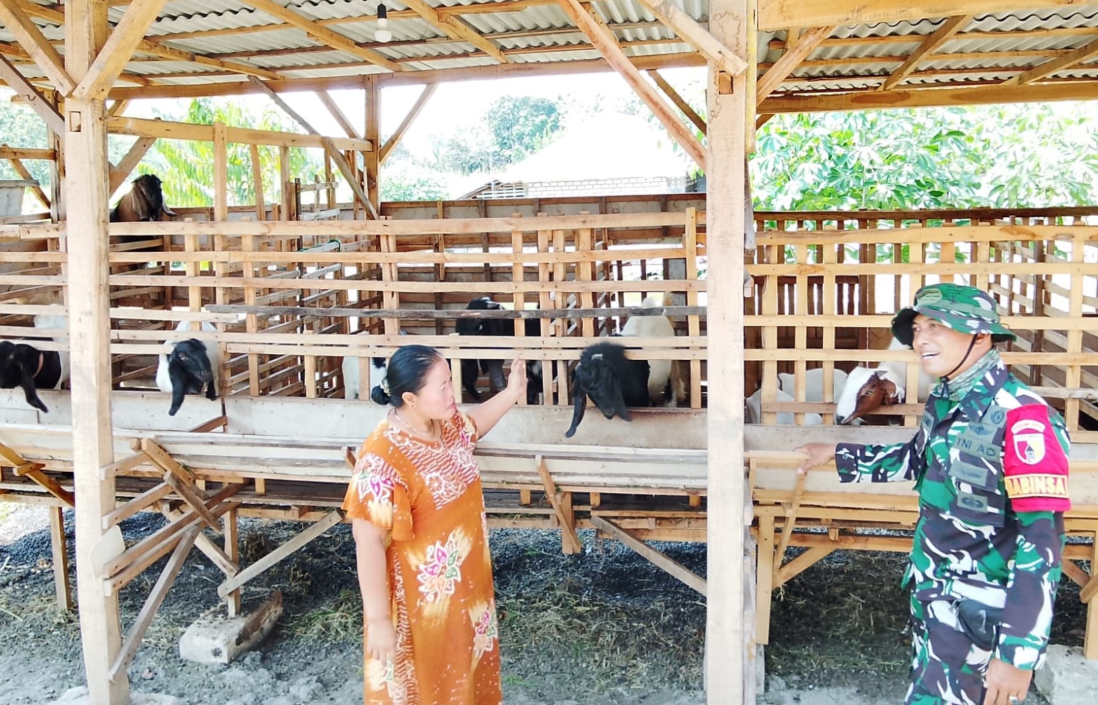 Jalin Komunikasi dengan Peternak: Babinsa Desa Kesongo, Serka Lasmidi, berbincang dengan warga peternak kambing di sela pelaksanaan TMMD ke-129 Kodim 0813 Bojonegoro di Desa Kesongo, Kecamatan Kedungadem, Kabupaten Bojonegoro, Kamis (6/8/2026). Komunikasi sosial tersebut menjadi bagian dari upaya mempererat hubungan TNI dengan masyarakat.